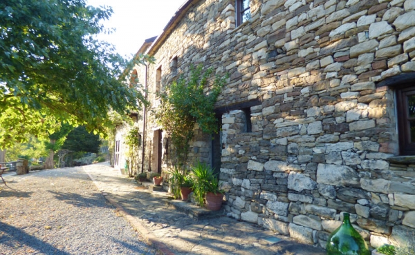 azienda vitivinicola (43)
