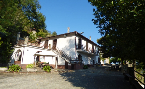 azienda vitivinicola (5)