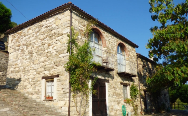 azienda vitivinicola (7)