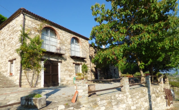 azienda vitivinicola (8)