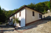 azienda vitivinicola (15)