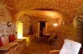 azienda vitivinicola (19)