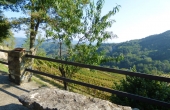 azienda vitivinicola (3)
