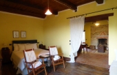 azienda vitivinicola (35)