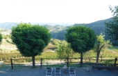 azienda vitivinicola (38)