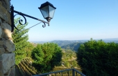 azienda vitivinicola (39)