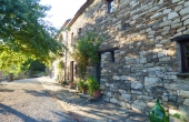azienda vitivinicola (43)