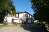 azienda vitivinicola (5)