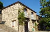 azienda vitivinicola (7)