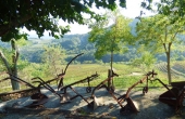 azienda vitivinicola (9)