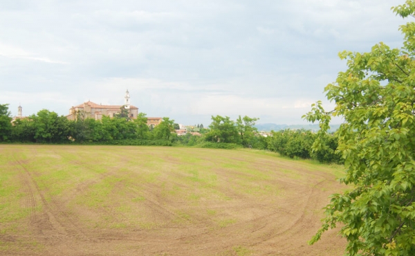 cascinale alle porte delle langhe (35)