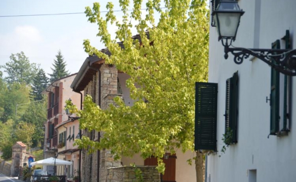 casa nelle langhe (10)