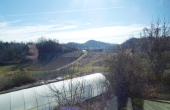 agriturismo_roero (31)