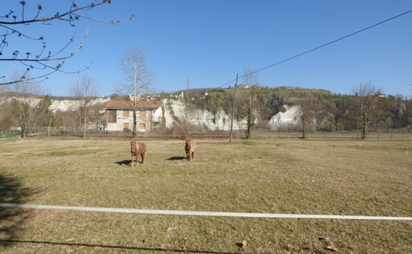 villa nelle langhe (34)