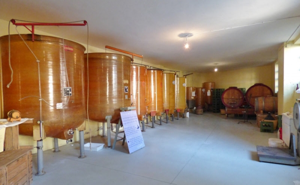 BandB_vendita_monferrato (38)