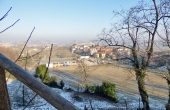BandB_vendita_monferrato (47)