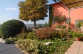 cascina vendita langhe (24)