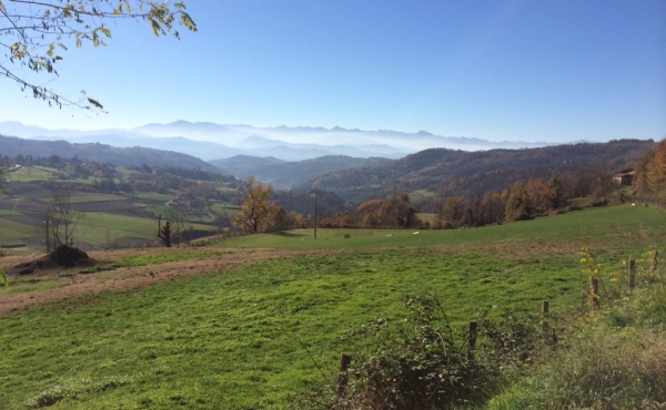 borgo in vendita nelle langhe (1)