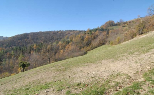 borgo in vendita nelle langhe (13)