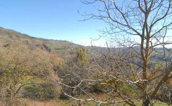 borgo in vendita nelle langhe (36)