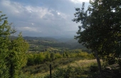borgo in vendita langhe (63)