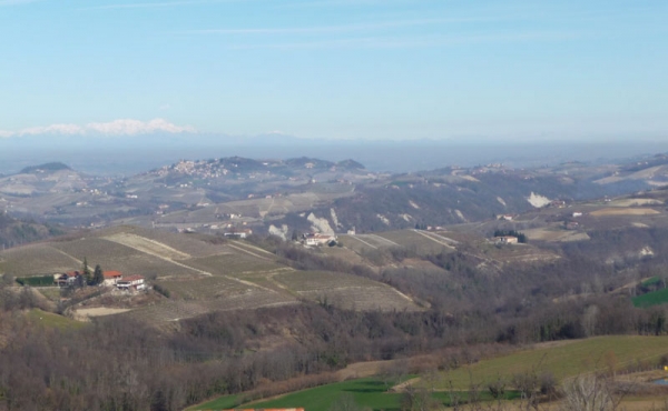casa nelle langhe (17)