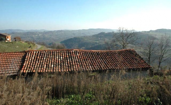 rustico vendita langhe (1)