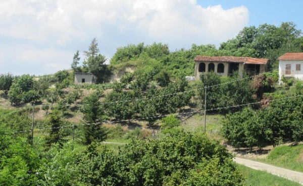 rustico vendita langhe (3)