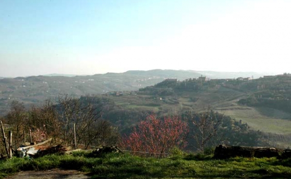 rustico vendita langhe (9)