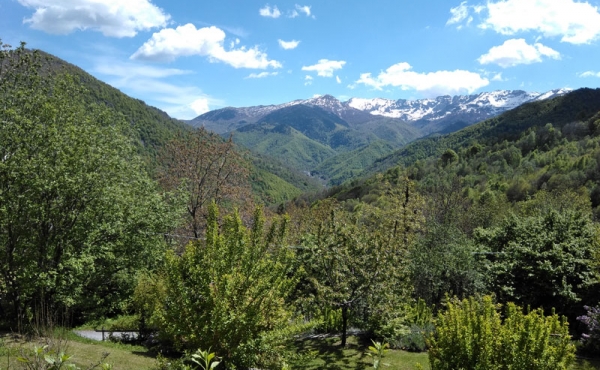 rustico-vendita-pamparato (102)