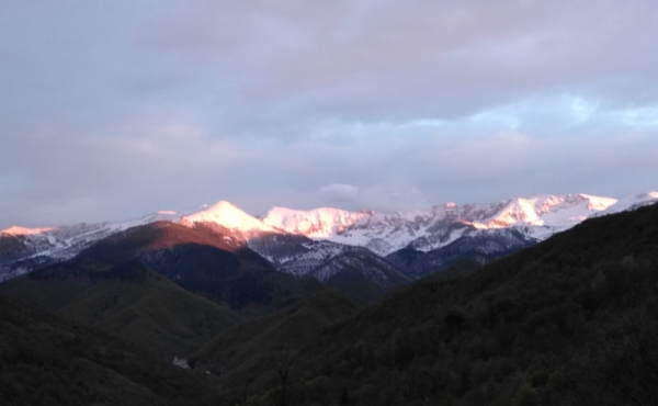 rustico-vendita-pamparato (103)