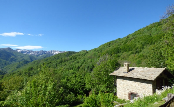rustico-vendita-pamparato (37)
