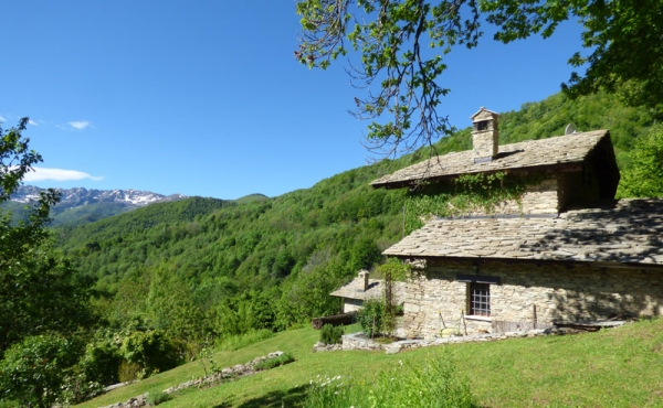 rustico-vendita-pamparato (40)