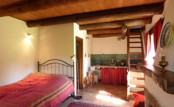 rustico-vendita-pamparato (70)