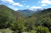 rustico-vendita-pamparato (102)