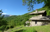 rustico-vendita-pamparato (40)