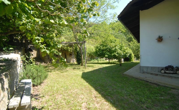 Villa con giardino (11)