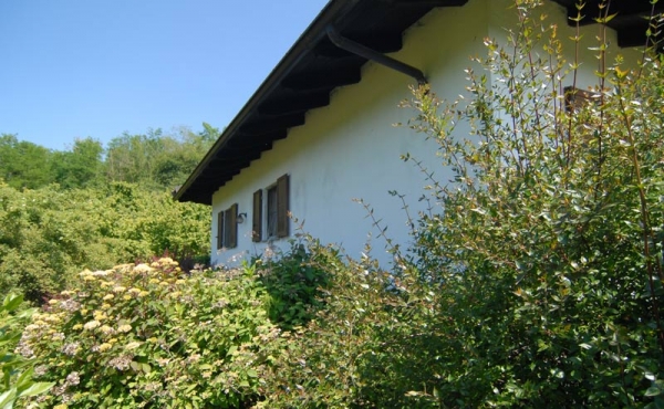 Villa con giardino (13)