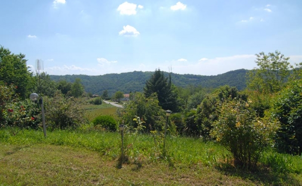 Villa con giardino (15)