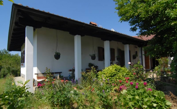 Villa con giardino (17)