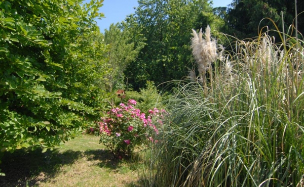 Villa con giardino (18)