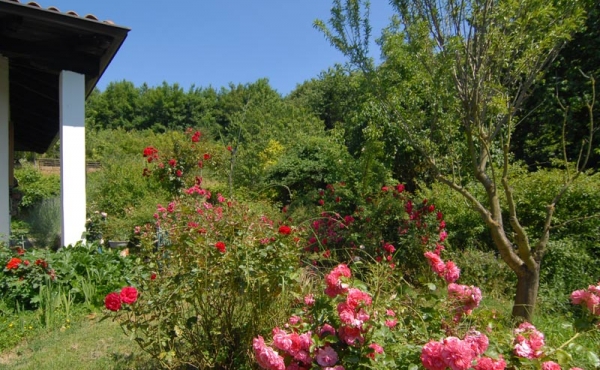 Villa con giardino (19)