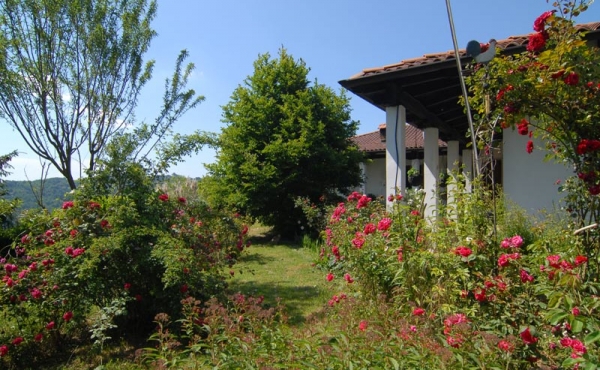Villa con giardino (20)
