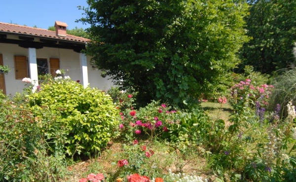 Villa con giardino (26)