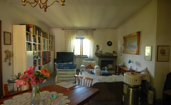Villa con giardino (34)