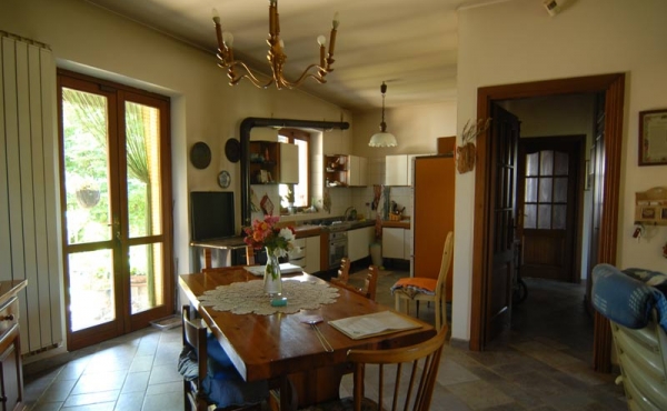 Villa con giardino (36)