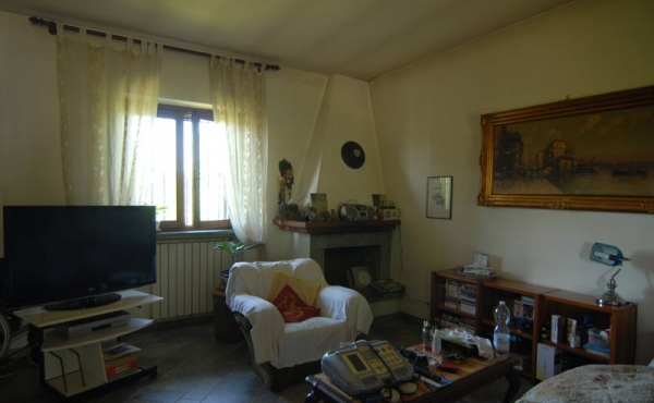 Villa con giardino (37)