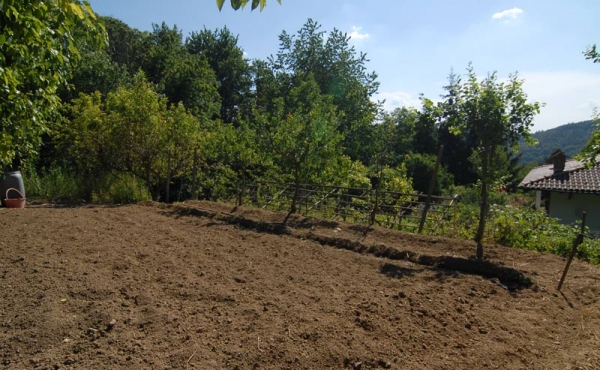 Villa con giardino (4)