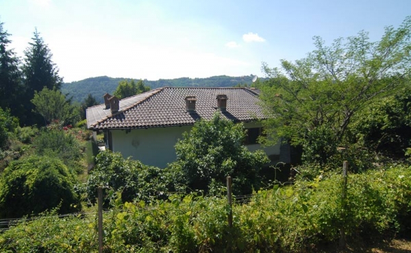 Villa con giardino (5)
