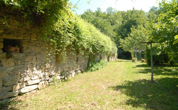 Villa con giardino (9)